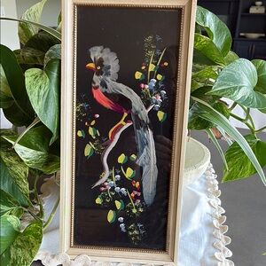 Vintage Framed Bird Feather  Art with Vibrant Colors